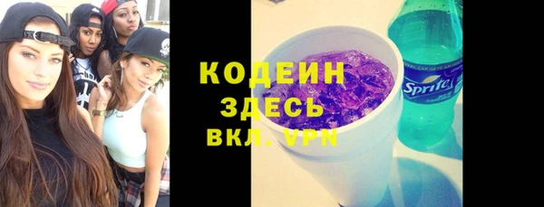 прущие грибы Новозыбков