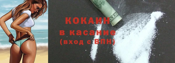 прущие грибы Новозыбков