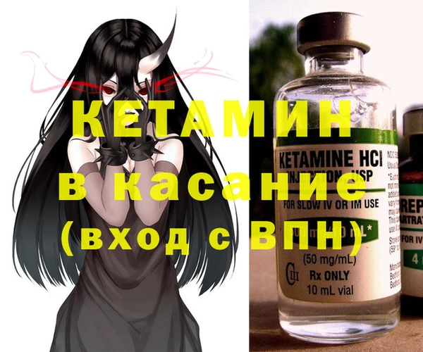 прущие грибы Новозыбков