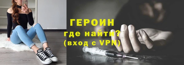 прущие грибы Новозыбков