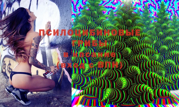 jwh Новодвинск
