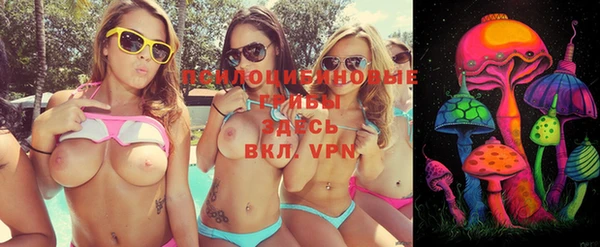 крисы Няндома