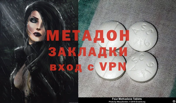 прущие грибы Новозыбков