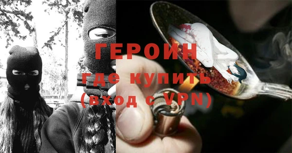 прущие грибы Новозыбков