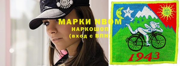 прущие грибы Новозыбков
