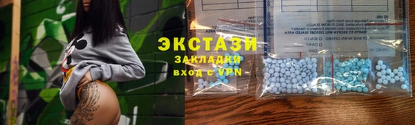прущие грибы Новозыбков